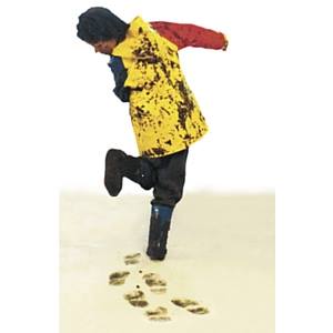 Coastal Cleaners Carpet Rug & Upholstery Cleaning